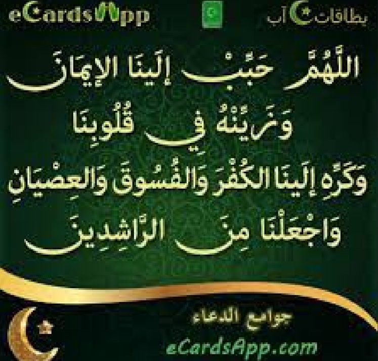 މީޑިއާ